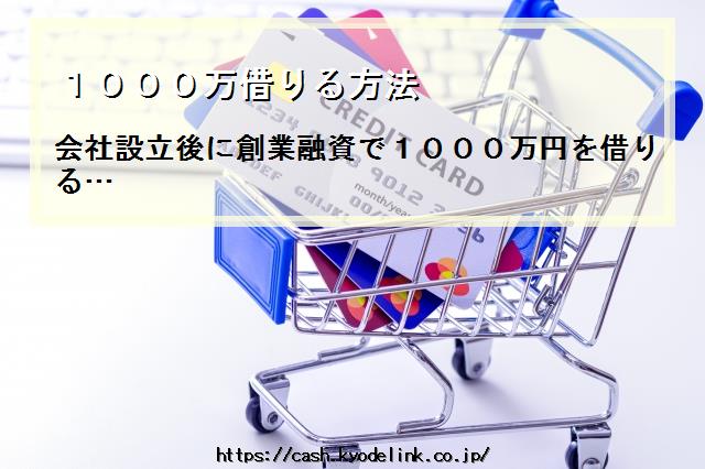 1000万借りる方法