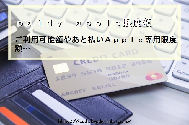 paidyapple限度額