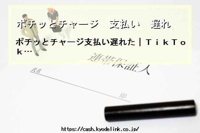 ポチッとチャージ支払い遅れ